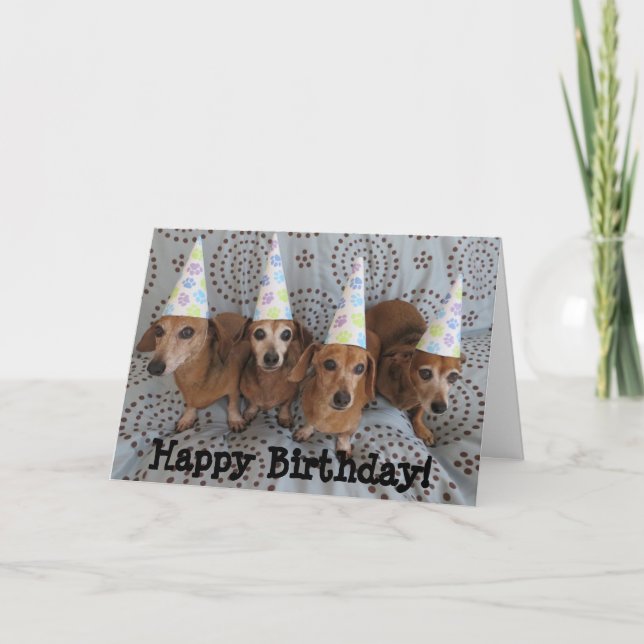 Feliz cumpleaños Dachshund tarjeta de saludo (Anverso)