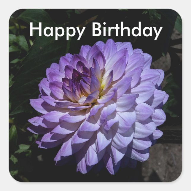 Feliz cumpleaños, Dahlia Bea Paradise #1 Pegatinas (Anverso)
