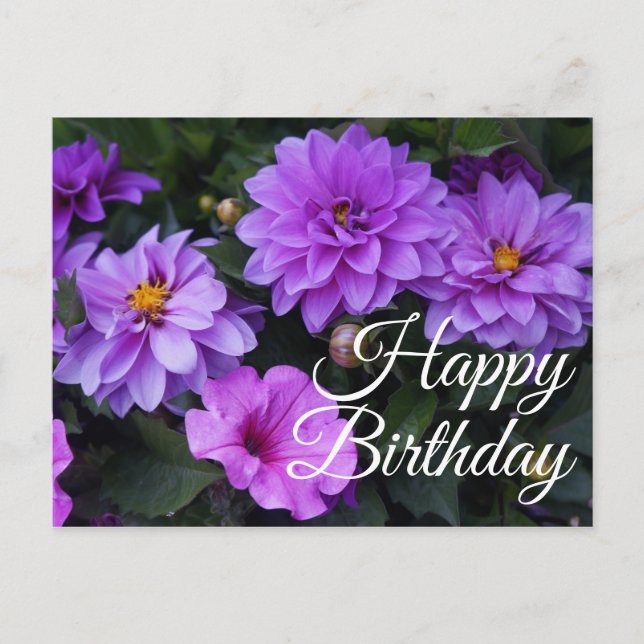Feliz cumpleaños Dahlia Lilac y la postal de Petun (Anverso)