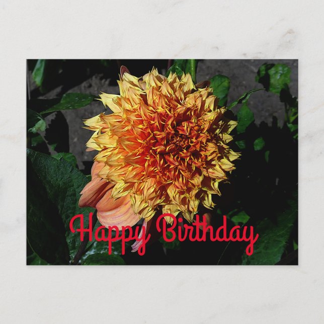 Feliz Cumpleaños Dahlia Sandia Brocade #1 Tarjeta  (Anverso)