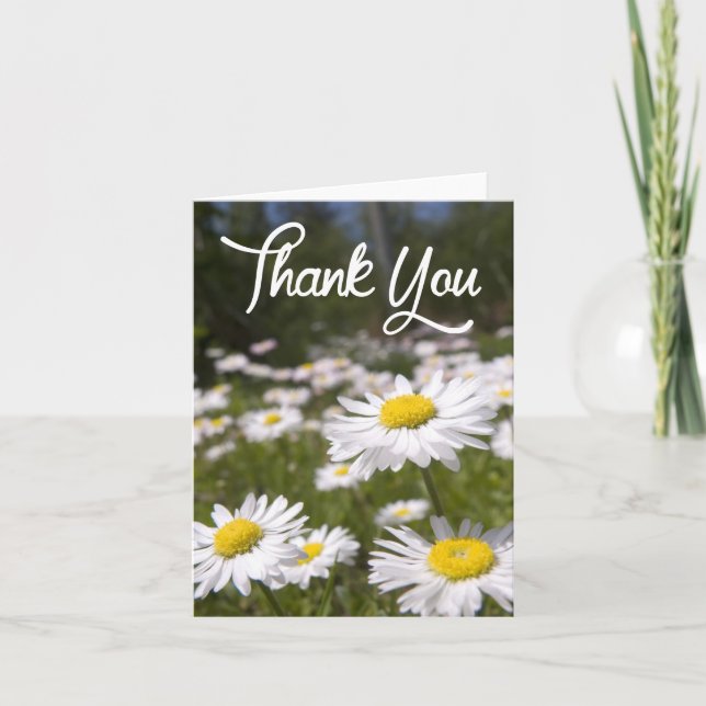 Feliz cumpleaños Daisies Flower Garden Tarjeta de  (Anverso)