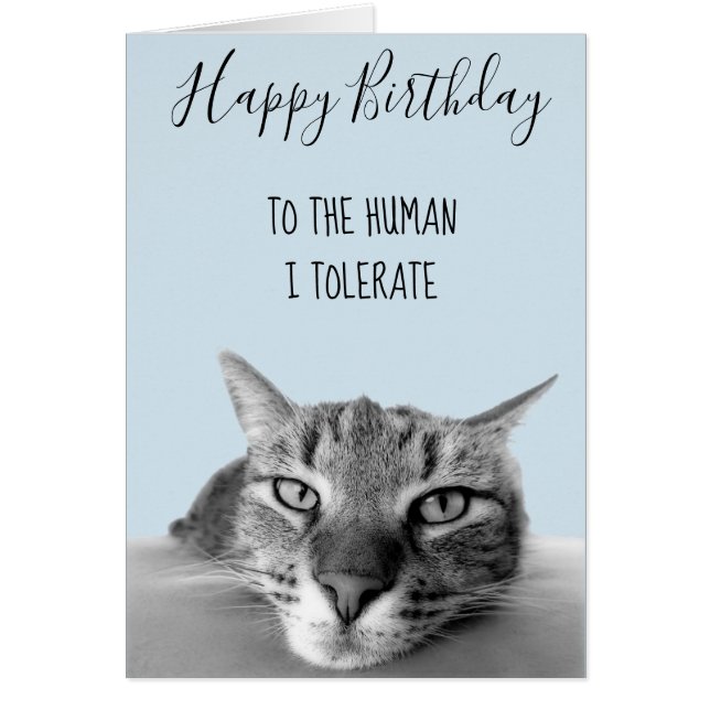 Feliz cumpleaños de gato a ser humano, tolero grac (Frente)