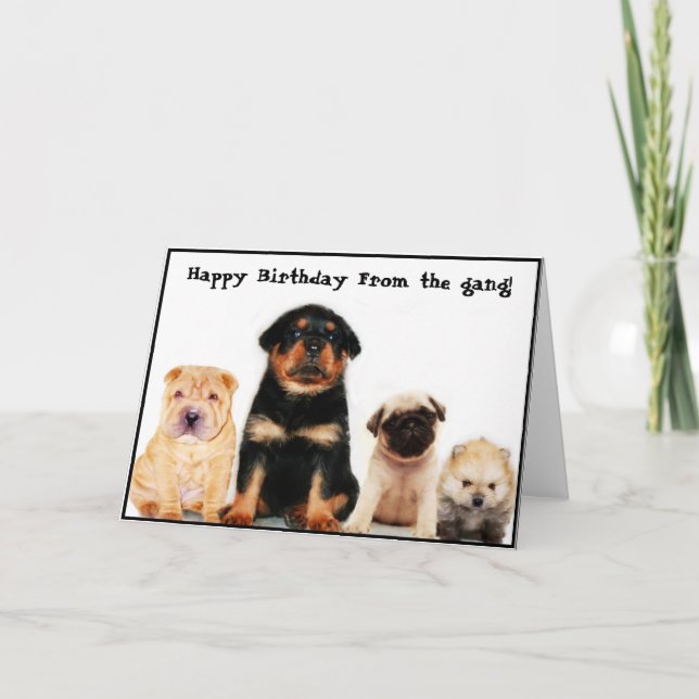 Feliz cumpleaños de la pandilla Puppies tarjeta de (Anverso)