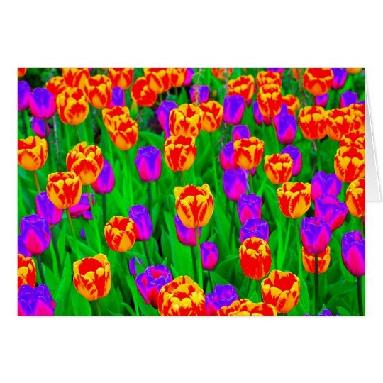 Feliz cumpleaños de los tulipanes de neón tarjeta