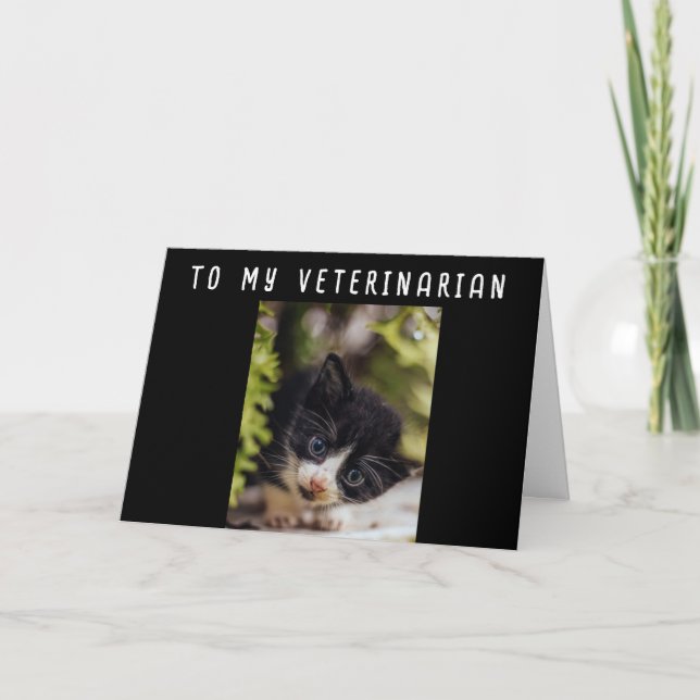 FELIZ CUMPLEAÑOS DE MI TARJETA **VETERINARIA** (Anverso)