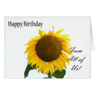 Feliz cumpleaños de todos nosotros - girasol