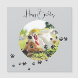 Feliz Cumpleaños de tu amigo peludo 2 Fotos