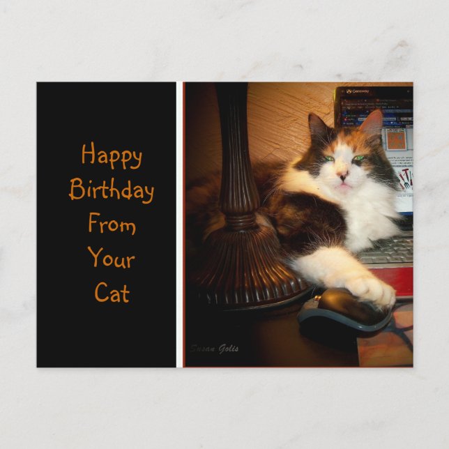 Feliz Cumpleaños de tu Gato Tarjeta Postal de Feli (Anverso)