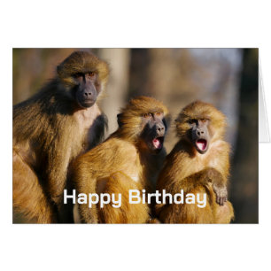 Feliz Cumpleaños del Grupo Como Monos