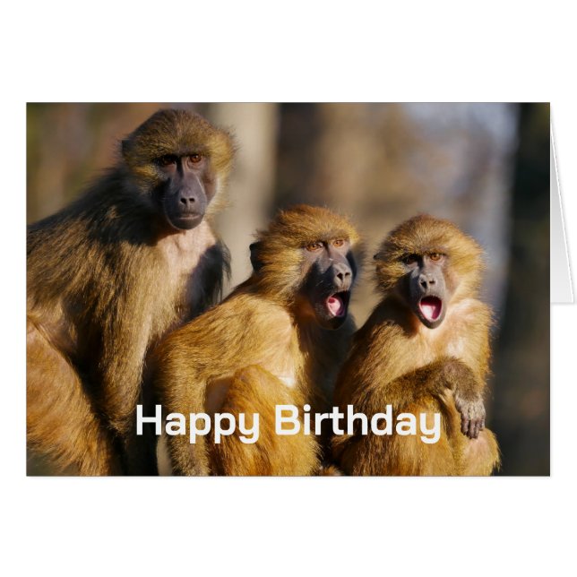 Feliz Cumpleaños del Grupo Como Monos (Anverso (Horizontal))