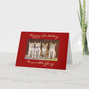 Feliz cumpleaños desde la tarjeta de pandillas
