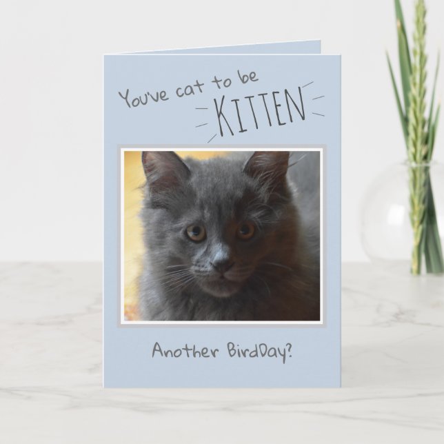 Feliz cumpleaños desde la tarjeta del gato (Anverso)