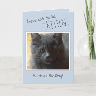 Feliz cumpleaños desde la tarjeta del gato