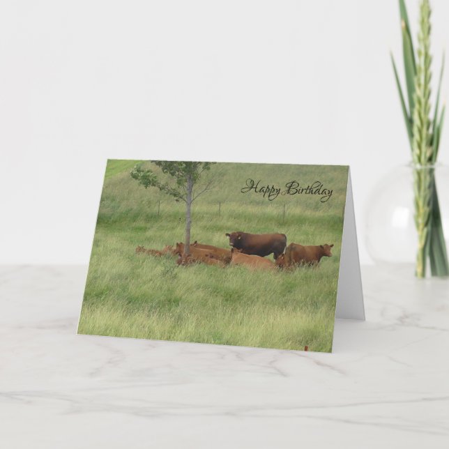 Feliz Cumpleaños Día Pacífico Tarjeta de Vacas en  (Anverso)