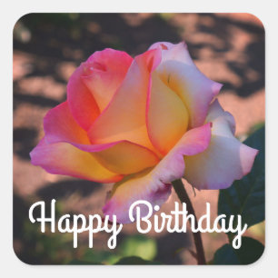 Feliz cumpleaños Elle Rosa #1 Pegatinas
