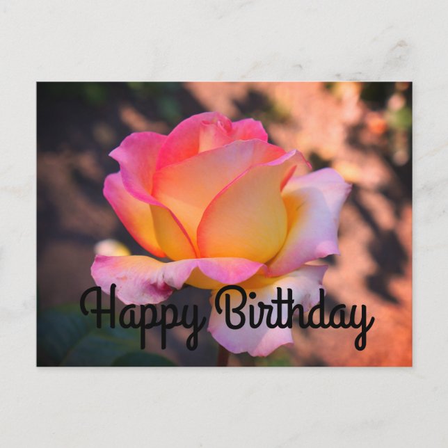 Feliz cumpleaños Elle Rosa #4 postal (Anverso)
