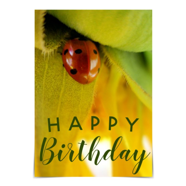 "Feliz cumpleaños", entusiasta tarjeta de insecto  (Subido por el creador)