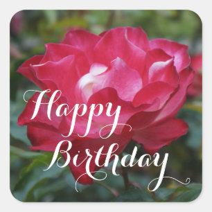 Feliz cumpleaños, fiesta de cerezos #2 Pegatinas c