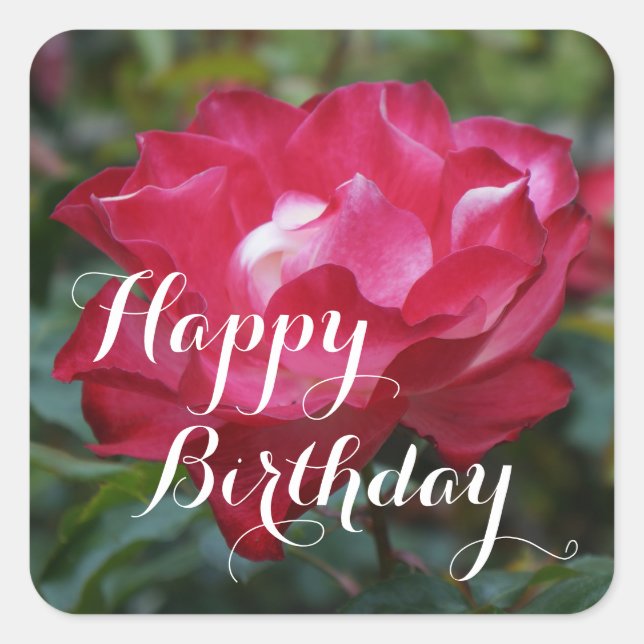 Feliz cumpleaños, fiesta de cerezos #2 Pegatinas c (Anverso)