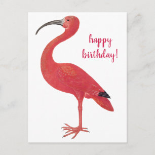 Feliz Cumpleaños Flamingo Arte Antiguo Tarjeta Pos