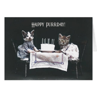 Feliz cumpleaños gatos Vintage Blank tarjeta plega