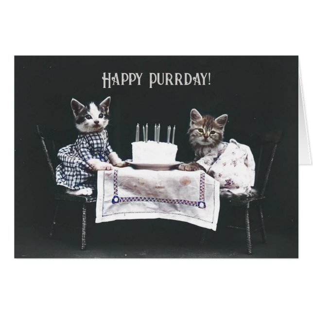 Feliz cumpleaños gatos Vintage Blank tarjeta plega (Anverso (Horizontal))