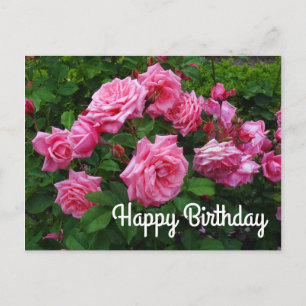 Feliz Cumpleaños Gene Boerner Rosa #2 Tarjeta Post