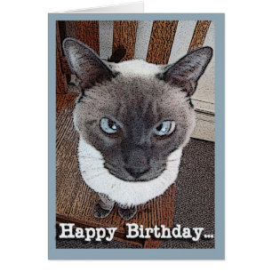 Feliz cumpleaños Gracioso gato siamés de gran cabe