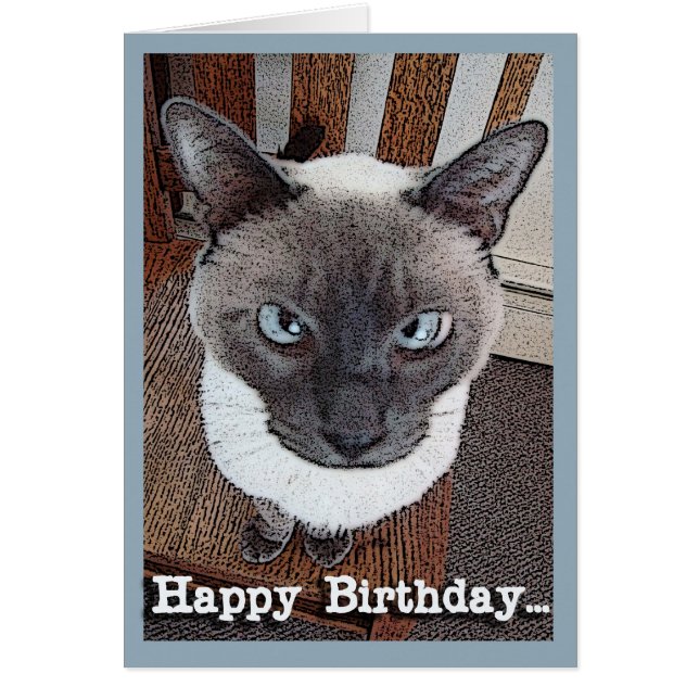 Feliz cumpleaños Gracioso gato siamés de gran cabe (Frente)