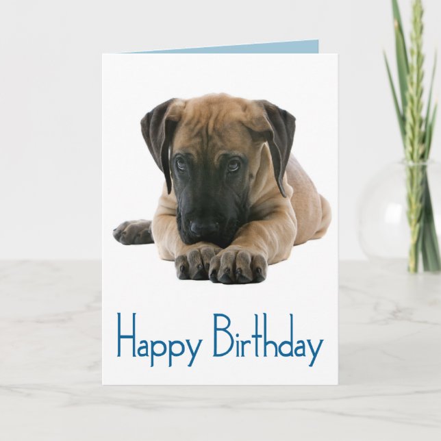 Feliz cumpleaños, gran tarjeta de perro porcino da (Anverso)