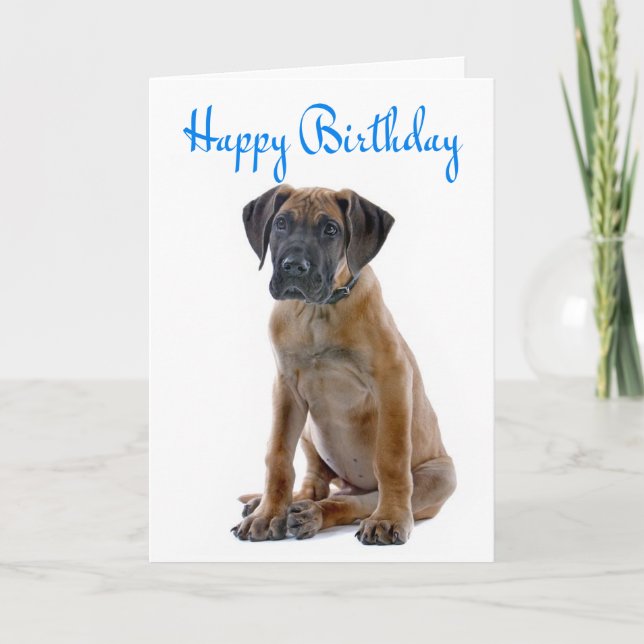 Feliz cumpleaños, gran tarjeta de perro porcino da (Anverso)