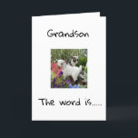 FELIZ CUMPLEAÑOS **GRANDSON** TARJETA<br><div class="desc">FELIZ CUMPLEAÑOS ***GRANDSON*** GRACIAS POR DETENERME EN UNA DE MIS OCHO TIENDAS!</div>