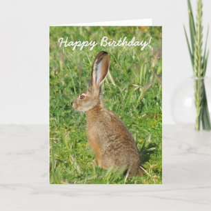 Feliz cumpleaños Jack Rabbit tarjeta de felicitaci