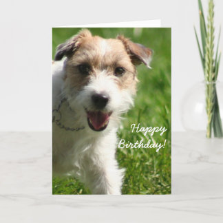 Feliz cumpleaños Jack Russell Terrier tarjeta de b