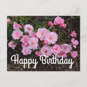Feliz Cumpleaños Jeanne LaJoie Rose #1 Tarjeta Pos