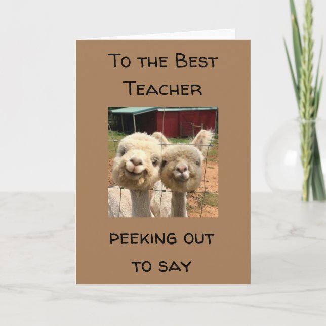 FELIZ *CUMPLEAÑOS* ***LA MEJOR TARJETA DE PROFESOR (Anverso)