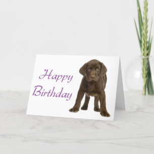 Feliz cumpleaños, Labrador, recuperación, tarjeta