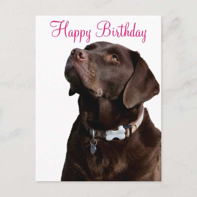 Feliz cumpleaños Labrador Recuperador de tarjeta p (Anverso)
