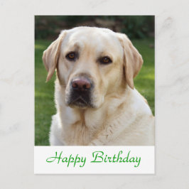 Feliz cumpleaños Labrador Recuperador de tarjeta p