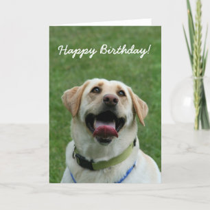 Feliz cumpleaños Labrador Recuperador tarjeta de s