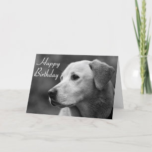 Feliz cumpleaños, Labrador, tarjeta de cachorro re