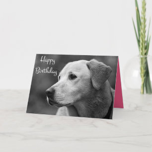 Feliz cumpleaños, Labrador, tarjeta de cachorro re