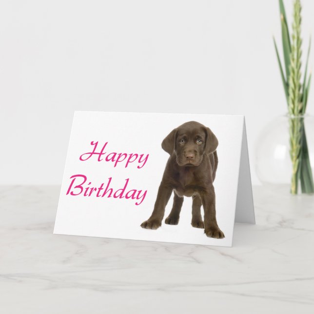 Feliz cumpleaños, Labrador, tarjeta de perro cacho (Anverso)