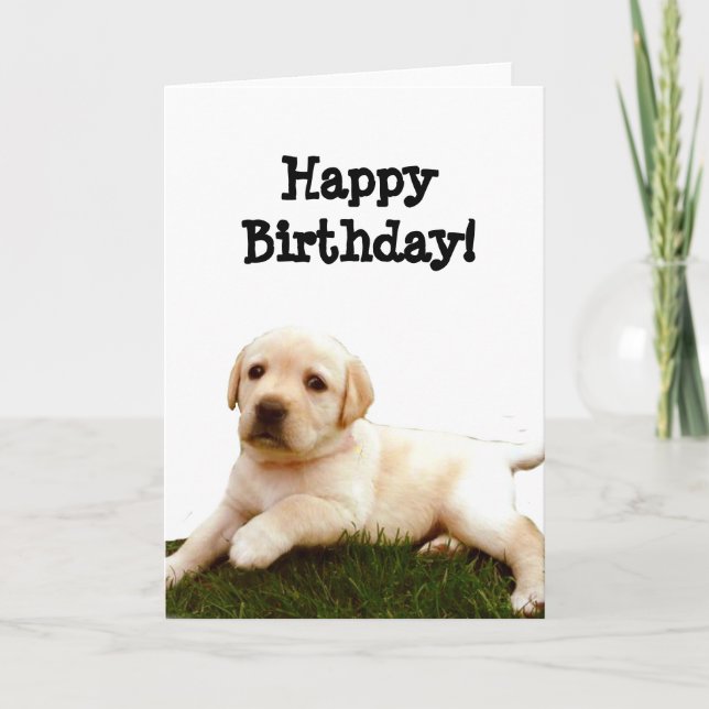 Feliz cumpleaños Labrador tarjeta de saludo de cac (Anverso)