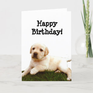 Feliz cumpleaños Labrador tarjeta de saludo de cac