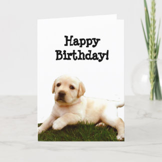 Feliz cumpleaños Labrador tarjeta de saludo de cac