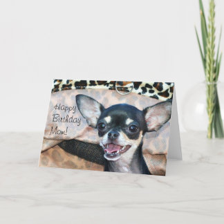 Feliz cumpleaños, mamá Chihuahua, tarjeta de salud