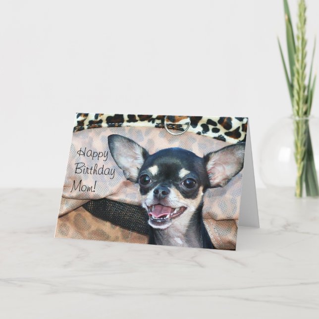 Feliz cumpleaños, mamá Chihuahua, tarjeta de salud (Anverso)