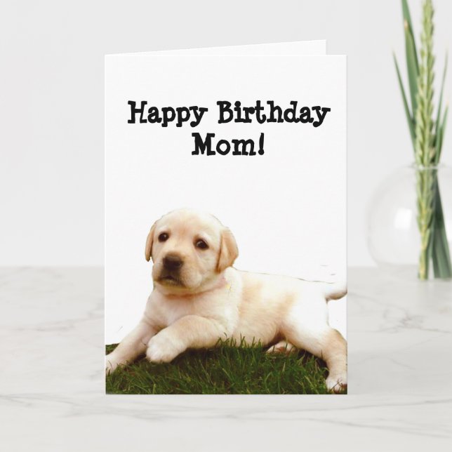 Feliz cumpleaños mamá Labrador tarjeta de saludo d (Anverso)