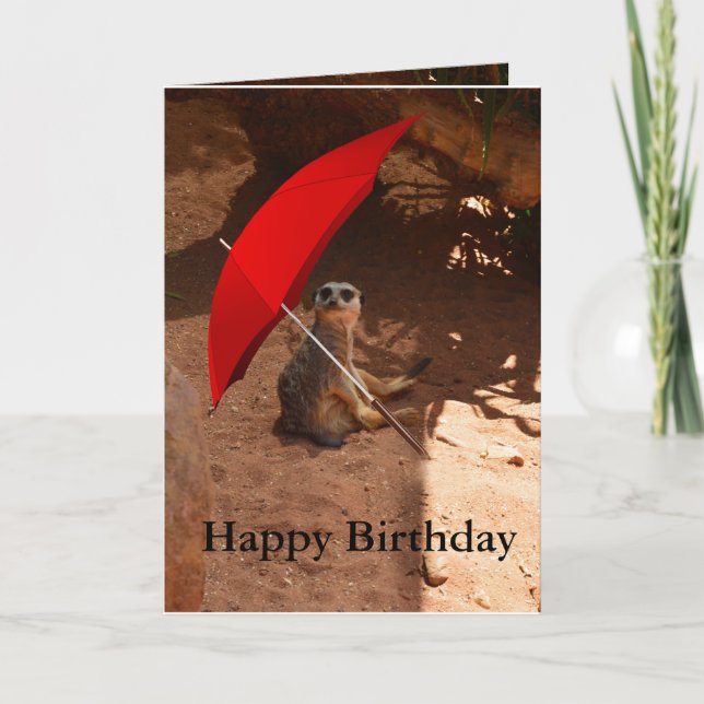 Feliz cumpleaños Meerkat tarjeta de felicitación (Anverso)